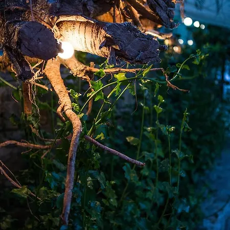 Pitahaya Couette-café 2*