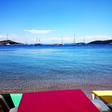 Pitahaya Couette-café