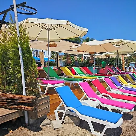 Pitahaya Couette-café 2*