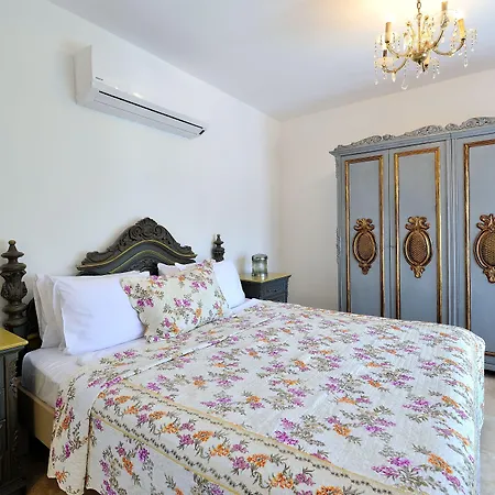 Pitahaya Türkbükü