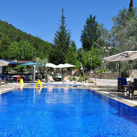 Pitahaya 2* Türkbükü