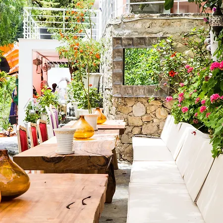 Couette-café Pitahaya