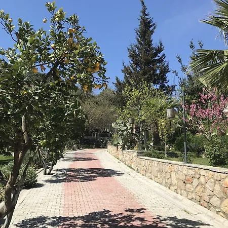 Pitahaya Couette-café Türkbükü