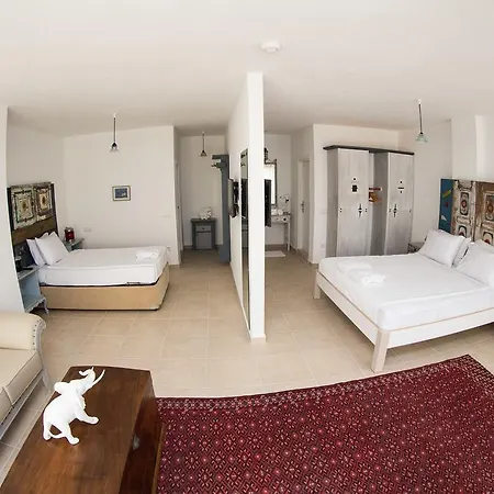 Couette-café Pitahaya