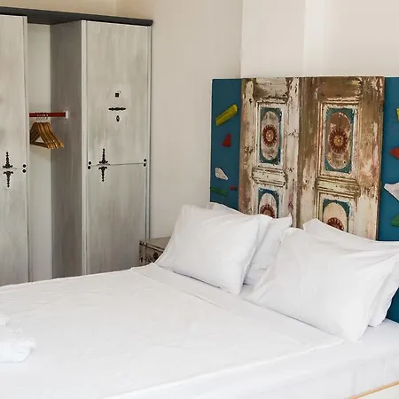 Pitahaya Türkbükü