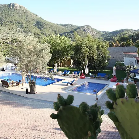 Pitahaya 2* Türkbükü