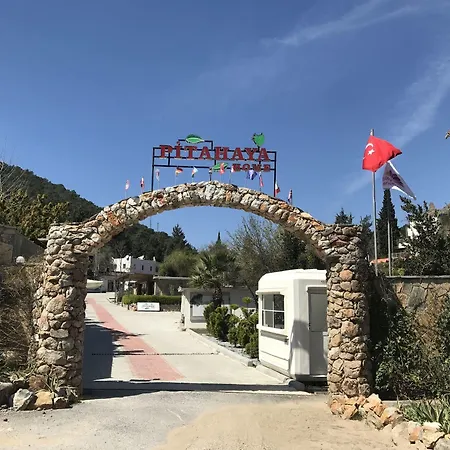 Pitahaya Göltürkbükü