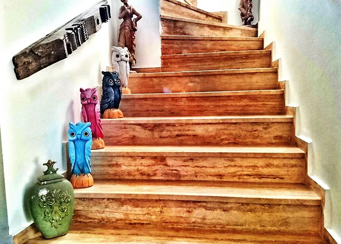 B&B Pitahaya 골터크부쿠