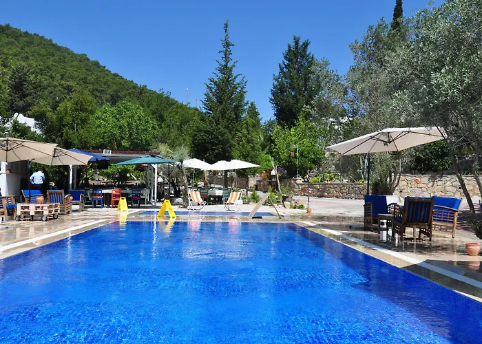 Pitahaya 2* Golturkbuku