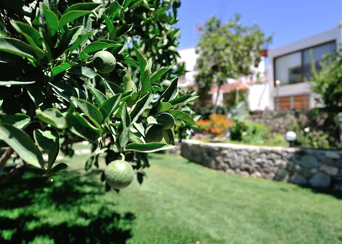 Bed & Breakfast Pitahaya 2*