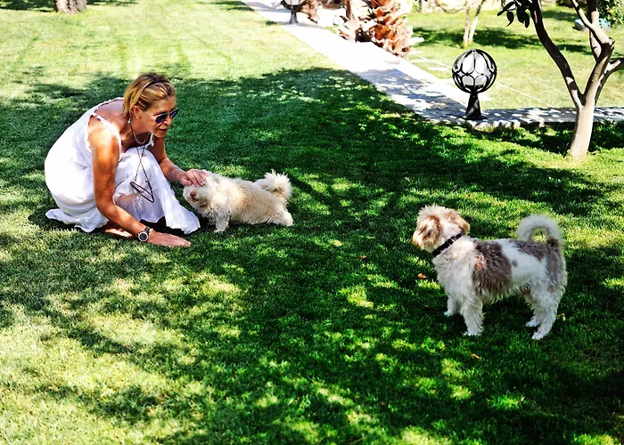 B&B Pitahaya 골터크부쿠