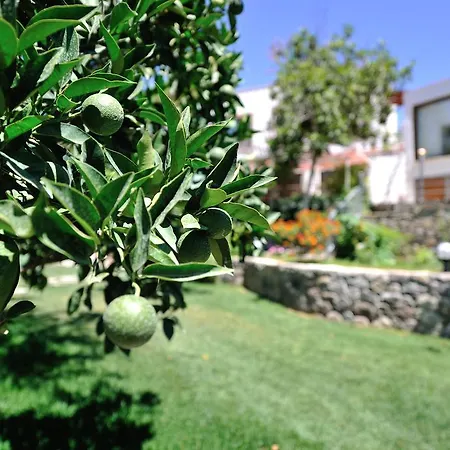 Pitahaya B&B
