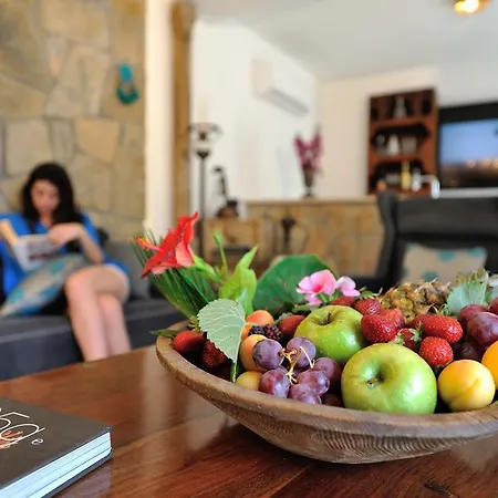 Bed & Breakfast Pitahaya