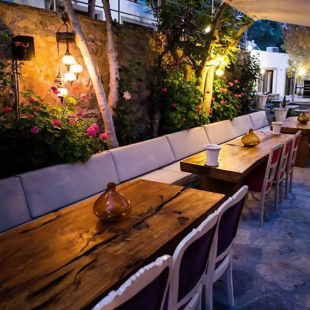 Bed & Breakfast Pitahaya