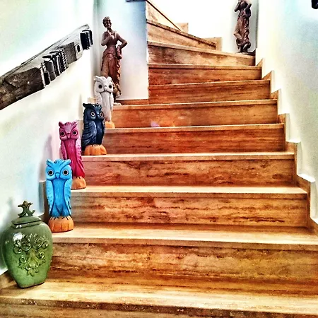 ベッド・アンド・ブレックファスト Pitahaya ゴルトゥルブク