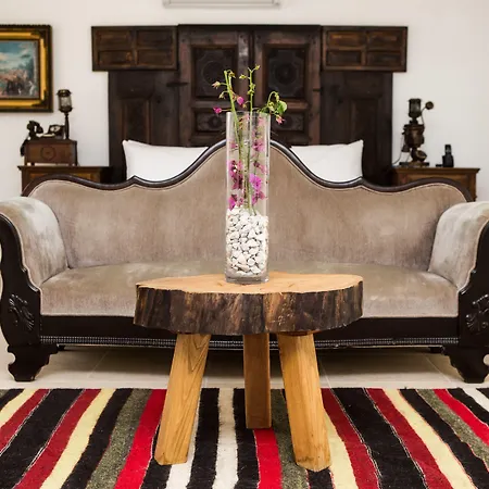 ベッド・アンド・ブレックファスト Pitahaya 2*