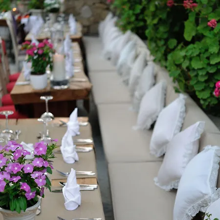 Pitahaya ゴルトゥルブク