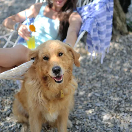 Pitahaya Bed & Breakfast 2*