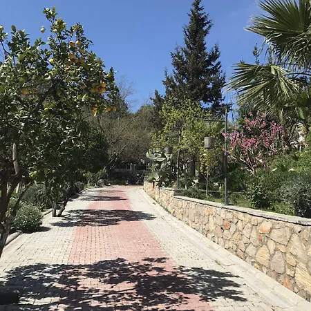 ベッド・アンド・ブレックファスト Pitahaya ゴルトゥルブク