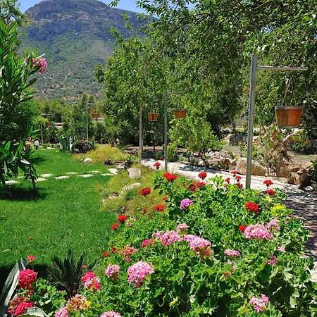 Pitahaya Bed & Breakfast