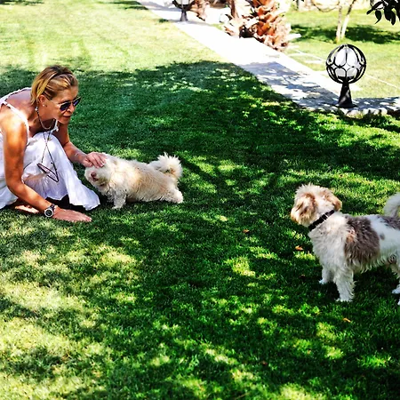 Bed & Breakfast Pitahaya Golturkbuku