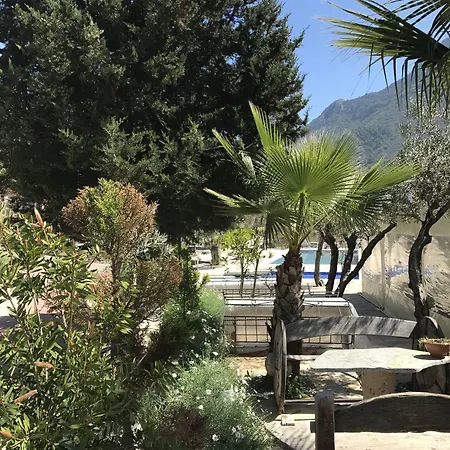 Pitahaya ベッド・アンド・ブレックファスト 2*