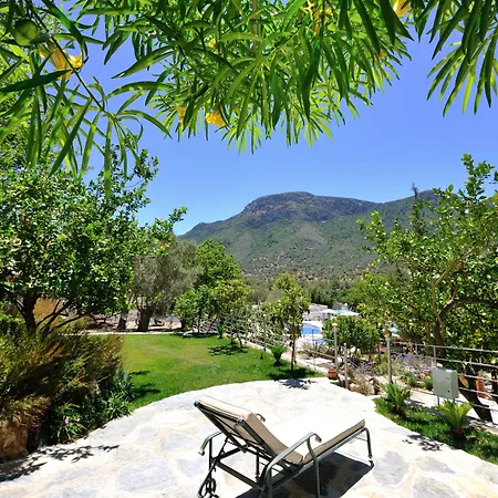 Bed & Breakfast Pitahaya Golturkbuku