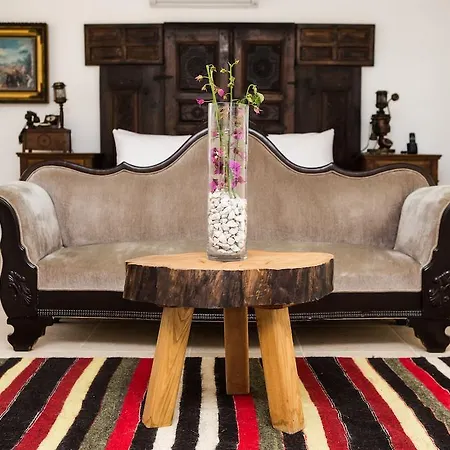 Pitahaya B&B