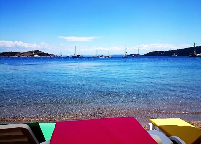 Pitahaya Bed & Breakfast