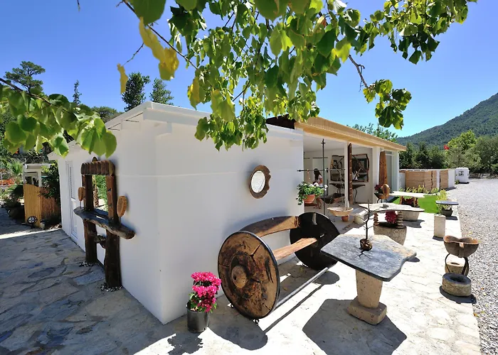 Pitahaya Bed & Breakfast Göltürkbükü