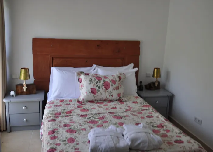 Bed & Breakfast Pitahaya