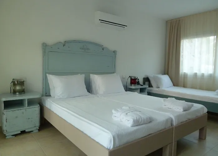 Bed & Breakfast Pitahaya