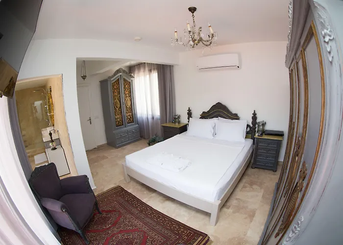 Bed & Breakfast Pitahaya