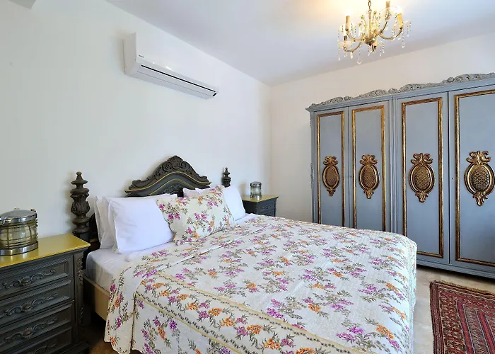 Pitahaya Göltürkbükü