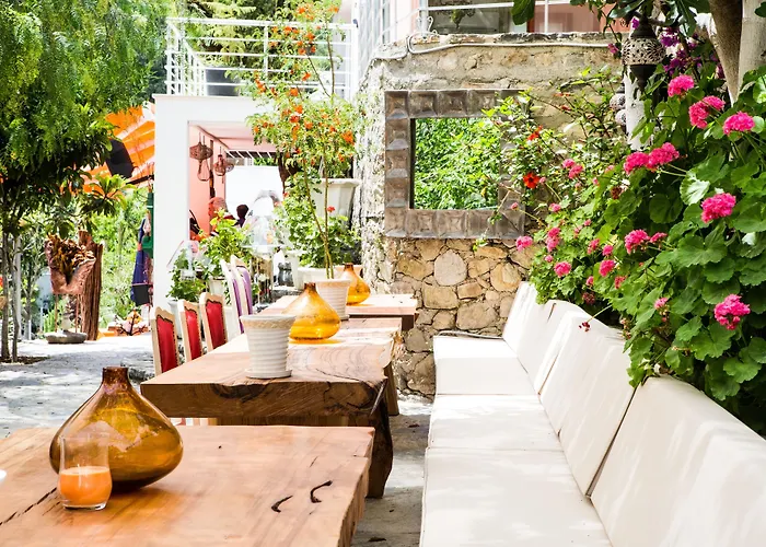 Bed & Breakfast Pitahaya