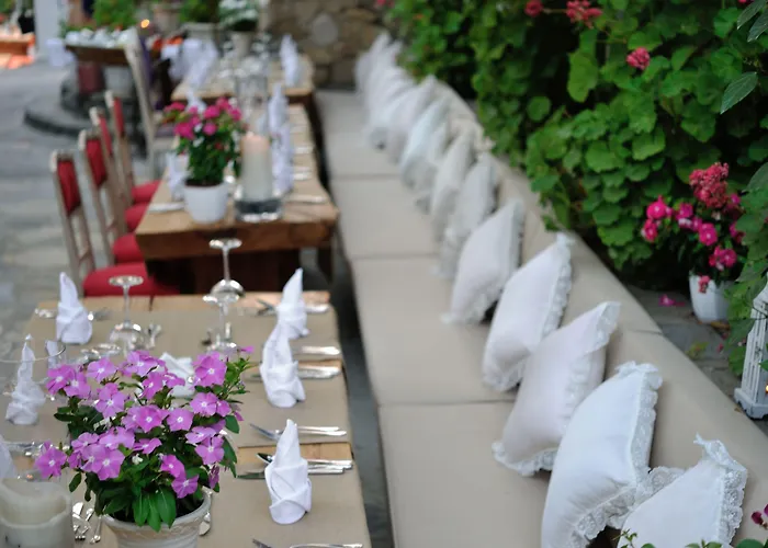 Pitahaya Göltürkbükü