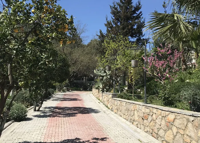 Bed & Breakfast Pitahaya Göltürkbükü