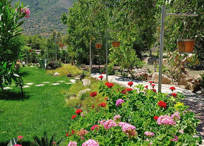 Pitahaya Bed & Breakfast