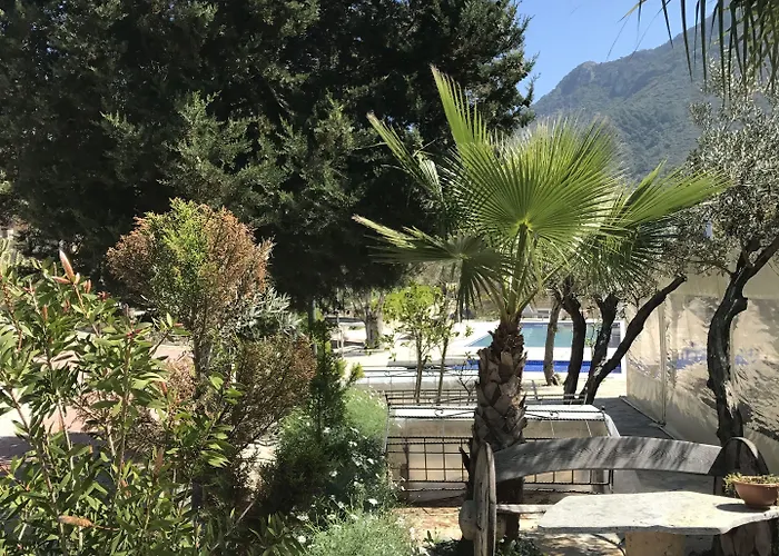 Pitahaya Bed & Breakfast 2*