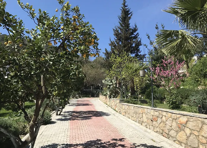 Pitahaya Bed & Breakfast Göltürkbükü