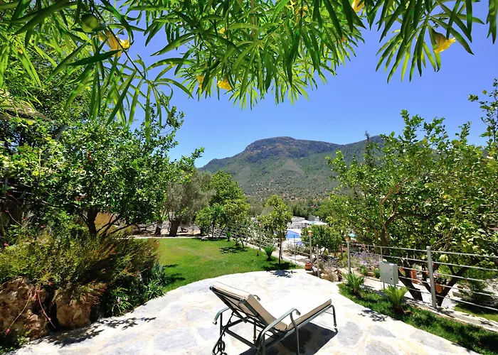 Bed & Breakfast Pitahaya Göltürkbükü