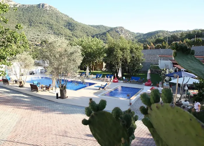 Pitahaya 2* Göltürkbükü